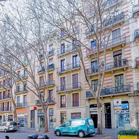 Alcam Books B Barcellona